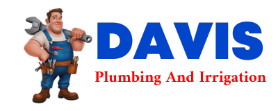 Trusted plumber in VINA